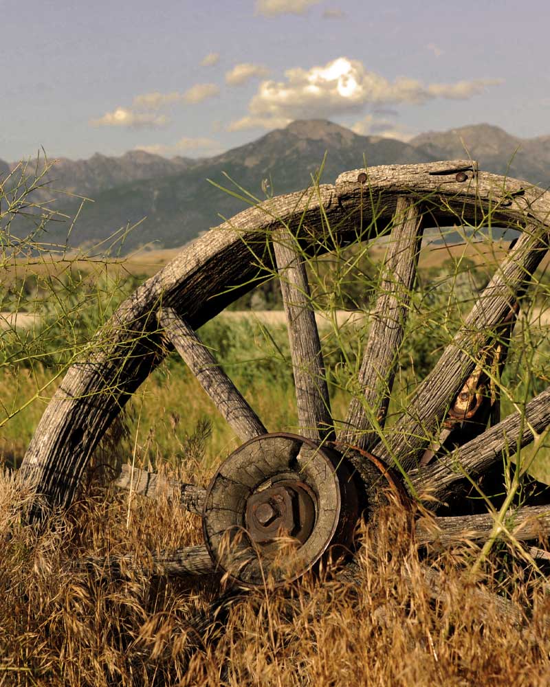 An old wagon wheel in the grass